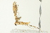  ( - BIOUG02244-D05)  @12 [ ] CreativeCommons - Attribution (2012) CBG Photography Group Centre for Biodiversity Genomics