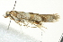 ( - BIOUG02244-G10)  @12 [ ] CreativeCommons - Attribution (2012) CBG Photography Group Centre for Biodiversity Genomics