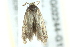  ( - BIOUG02244-G12)  @12 [ ] CreativeCommons - Attribution (2012) CBG Photography Group Centre for Biodiversity Genomics