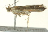  ( - BIOUG02245-E06)  @12 [ ] CreativeCommons - Attribution (2012) CBG Photography Group Centre for Biodiversity Genomics