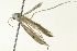  ( - BIOUG02245-F07)  @13 [ ] CreativeCommons - Attribution (2012) CBG Photography Group Centre for Biodiversity Genomics