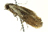  ( - BIOUG02245-F08)  @13 [ ] CreativeCommons - Attribution (2012) CBG Photography Group Centre for Biodiversity Genomics