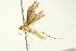  ( - BIOUG02245-G09)  @13 [ ] CreativeCommons - Attribution (2012) CBG Photography Group Centre for Biodiversity Genomics