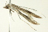  ( - BIOUG02245-H02)  @13 [ ] CreativeCommons - Attribution (2012) CBG Photography Group Centre for Biodiversity Genomics