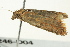  ( - BIOUG02246-D04)  @13 [ ] CreativeCommons - Attribution (2012) CBG Photography Group Centre for Biodiversity Genomics
