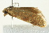  ( - BIOUG02246-D07)  @13 [ ] CreativeCommons - Attribution (2012) CBG Photography Group Centre for Biodiversity Genomics