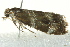  ( - BIOUG02246-E04)  @13 [ ] CreativeCommons - Attribution (2012) CBG Photography Group Centre for Biodiversity Genomics