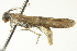 ( - BIOUG02246-H11)  @12 [ ] CreativeCommons - Attribution (2012) CBG Photography Group Centre for Biodiversity Genomics