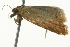  ( - BIOUG02247-A12)  @13 [ ] CreativeCommons - Attribution (2012) CBG Photography Group Centre for Biodiversity Genomics