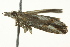  ( - BIOUG02247-B01)  @12 [ ] CreativeCommons - Attribution (2012) CBG Photography Group Centre for Biodiversity Genomics