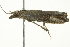  ( - BIOUG02247-B03)  @12 [ ] CreativeCommons - Attribution (2012) CBG Photography Group Centre for Biodiversity Genomics