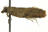  ( - BIOUG02247-G04)  @13 [ ] CreativeCommons - Attribution (2012) CBG Photography Group Centre for Biodiversity Genomics