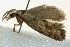  ( - BIOUG02248-F07)  @13 [ ] CreativeCommons - Attribution (2012) CBG Photography Group Centre for Biodiversity Genomics