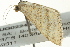  ( - BIOUG02248-H03)  @13 [ ] CreativeCommons - Attribution (2012) CBG Photography Group Centre for Biodiversity Genomics