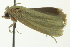  ( - BIOUG02248-H06)  @13 [ ] CreativeCommons - Attribution (2012) CBG Photography Group Centre for Biodiversity Genomics