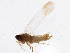  ( - BIOUG01294-F06)  @13 [ ] CreativeCommons - Attribution (2012) CBG Photography Group Centre for Biodiversity Genomics