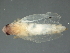  ( - BIOUG01297-B04)  @14 [ ] CreativeCommons - Attribution (2012) CBG Photography Group Centre for Biodiversity Genomics