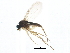  ( - BIOUG01306-A05)  @13 [ ] CreativeCommons - Attribution (2012) CBG Photography Group Centre for Biodiversity Genomics