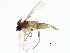  ( - BIOUG01306-A09)  @12 [ ] CreativeCommons - Attribution (2012) CBG Photography Group Centre for Biodiversity Genomics