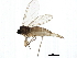  ( - BIOUG01306-F02)  @12 [ ] CreativeCommons - Attribution (2012) CBG Photography Group Centre for Biodiversity Genomics