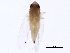  ( - BIOUG01308-A09)  @12 [ ] CreativeCommons - Attribution (2012) CBG Photography Group Centre for Biodiversity Genomics