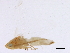  ( - BIOUG01308-C07)  @13 [ ] CreativeCommons - Attribution (2012) CBG Photography Group Centre for Biodiversity Genomics