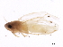  ( - BIOUG01297-C08)  @13 [ ] CreativeCommons - Attribution (2012) CBG Photography Group Centre for Biodiversity Genomics