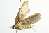  ( - BIOUG01292-H02)  @12 [ ] CreativeCommons - Attribution (2012) CBG Photography Group Centre for Biodiversity Genomics
