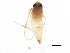  ( - BIOUG01297-G06)  @13 [ ] CreativeCommons - Attribution (2012) CBG Photography Group Centre for Biodiversity Genomics