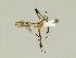  ( - 08PROBE-1271)  @13 [ ] Unspecified (default): All Rights Reserved  Unspecified Unspecified