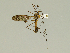  ( - 08PROBE-1285)  @13 [ ] Unspecified (default): All Rights Reserved  Unspecified Unspecified