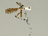  ( - 08PROBE-1329)  @13 [ ] Unspecified (default): All Rights Reserved  Unspecified Unspecified