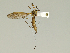  ( - 08PROBE-1355)  @13 [ ] Unspecified (default): All Rights Reserved  Unspecified Unspecified
