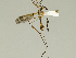  ( - 08PROBE-1366)  @13 [ ] Unspecified (default): All Rights Reserved  Unspecified Unspecified