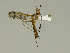  ( - 08PROBE-1371)  @13 [ ] Unspecified (default): All Rights Reserved  Unspecified Unspecified