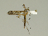  ( - 08PROBE-1373)  @13 [ ] Unspecified (default): All Rights Reserved  Unspecified Unspecified