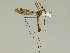  ( - 08PROBE-1374)  @13 [ ] Unspecified (default): All Rights Reserved  Unspecified Unspecified