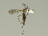  ( - 08PROBE-1376)  @14 [ ] Unspecified (default): All Rights Reserved  Unspecified Unspecified