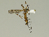  ( - 08PROBE-1385)  @13 [ ] Unspecified (default): All Rights Reserved  Unspecified Unspecified