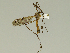  ( - 08PROBE-1386)  @11 [ ] Unspecified (default): All Rights Reserved  Unspecified Unspecified
