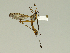  ( - 08PROBE-1390)  @12 [ ] Unspecified (default): All Rights Reserved  Unspecified Unspecified