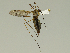 ( - 08PROBE-1391)  @13 [ ] Unspecified (default): All Rights Reserved  Unspecified Unspecified