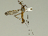 ( - 08PROBE-1394)  @13 [ ] Unspecified (default): All Rights Reserved  Unspecified Unspecified