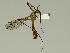  ( - 08PROBE-1396)  @13 [ ] Unspecified (default): All Rights Reserved  Unspecified Unspecified