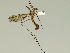  ( - 08PROBE-1398)  @13 [ ] Unspecified (default): All Rights Reserved  Unspecified Unspecified
