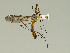  ( - 08PROBE-1403)  @13 [ ] Unspecified (default): All Rights Reserved  Unspecified Unspecified
