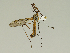  ( - 08PROBE-1407)  @13 [ ] Unspecified (default): All Rights Reserved  Unspecified Unspecified