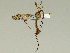  ( - 08PROBE-1412)  @13 [ ] Unspecified (default): All Rights Reserved  Unspecified Unspecified
