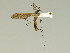  ( - 08PROBE-1414)  @13 [ ] Unspecified (default): All Rights Reserved  Unspecified Unspecified