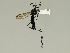  ( - 08PROBE-1427)  @13 [ ] Unspecified (default): All Rights Reserved  Unspecified Unspecified